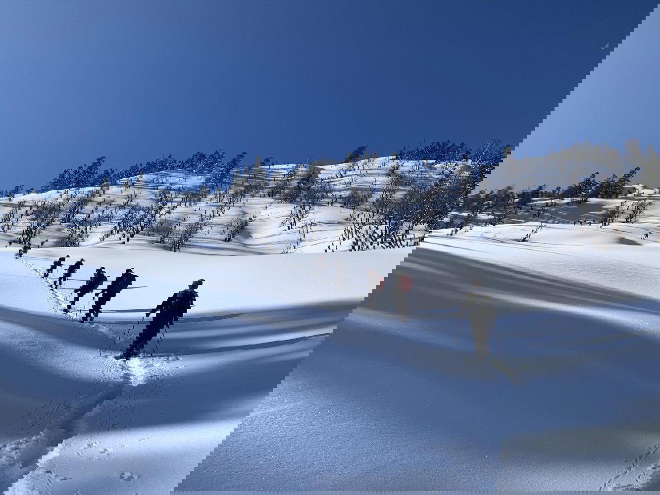 kedarkantha trek route