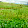 Kass Plateau Image Kass Plateau Image