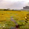 Kaas Plateau Image Kaas Plateau Image