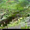 Lohagad Fort Image from Top 