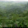 Jungle of Peth Fort Jungle of Peth Fort