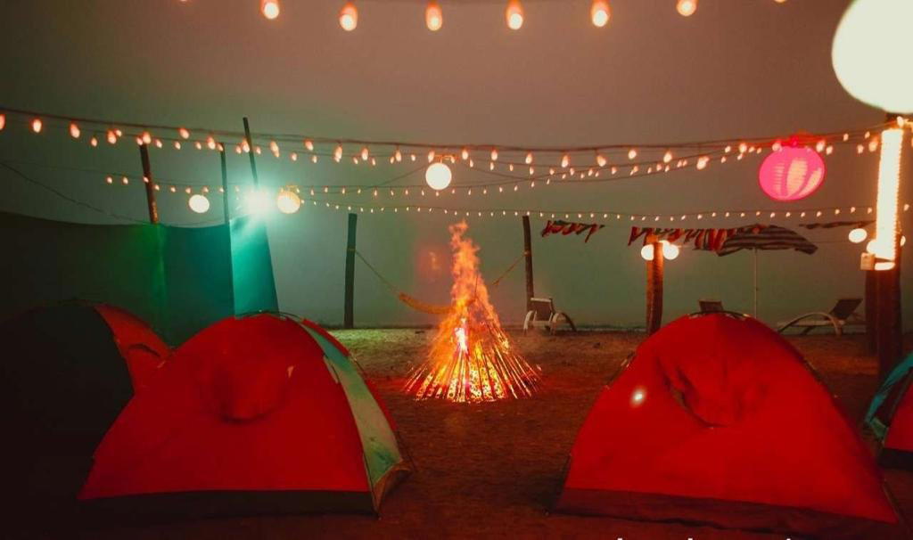 Alibaug Camping Campfire